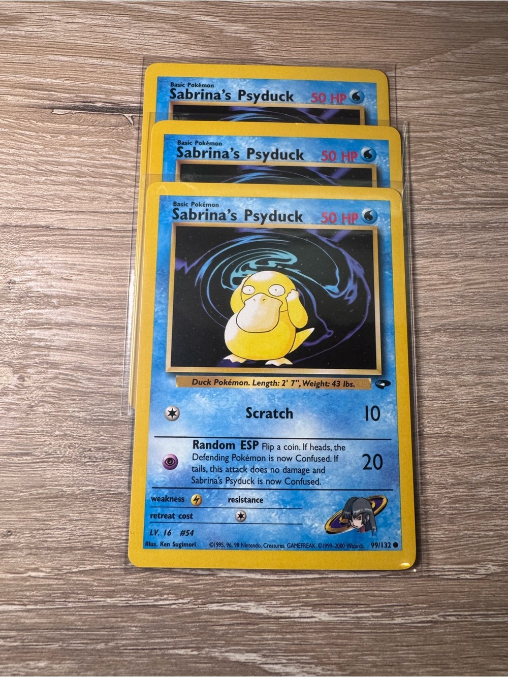 Sabrina's Psyduck #99 - Pokemon Gym Challenge- (3)